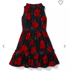 JANIE AND JACK  floral rose velvet holiday dress size 5